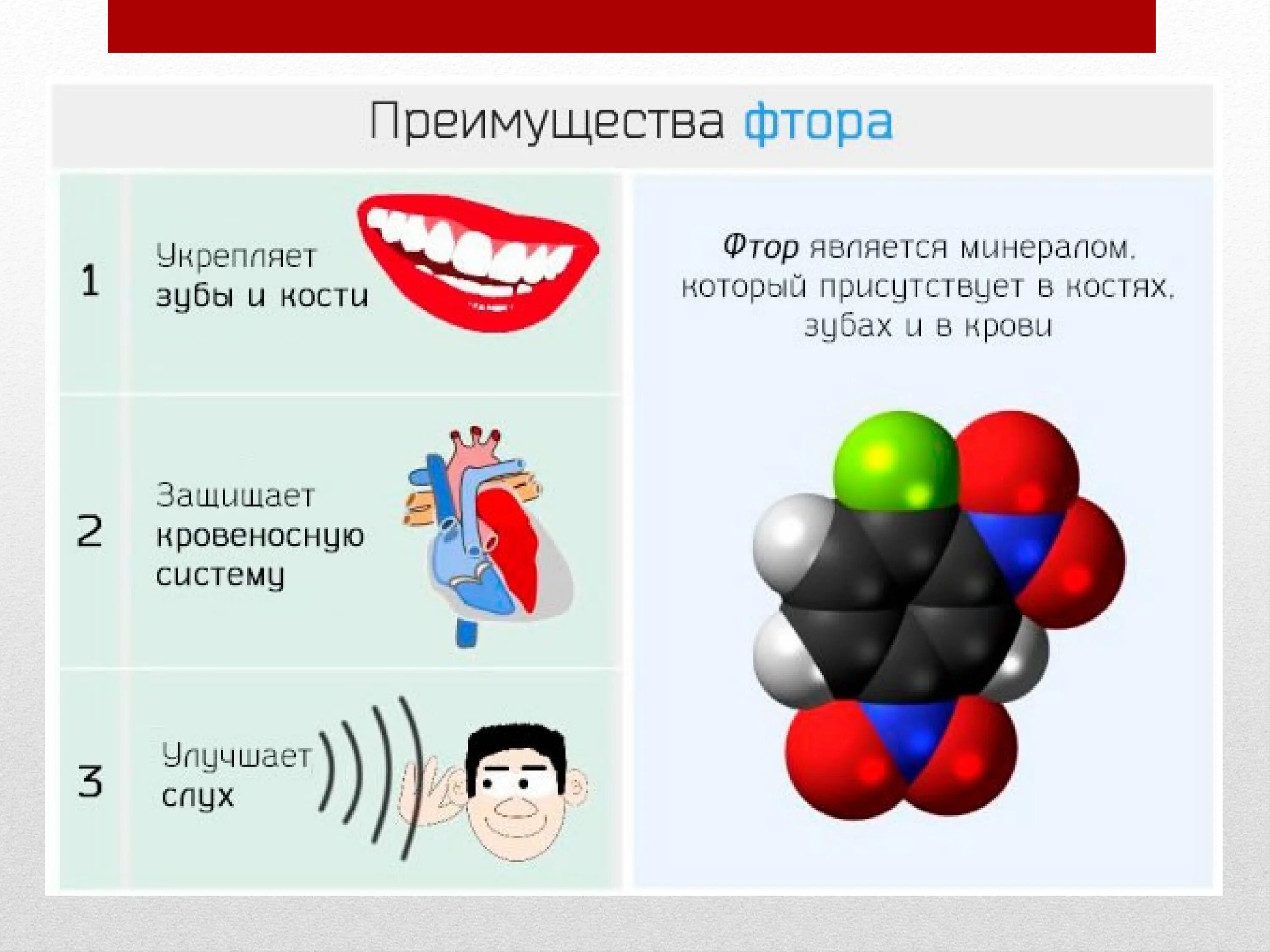 Фтор для организма. Фтор в организме. Фтор в организме человека его роль. Биологическая роль фтора. Функции фтора в организме человека.