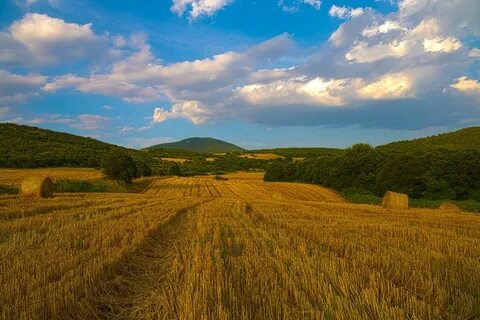Простираются просторы