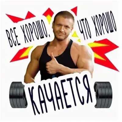 1.5 качка тг