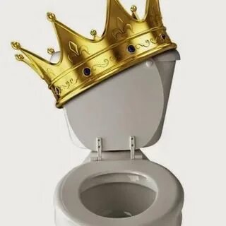 Toilet tv