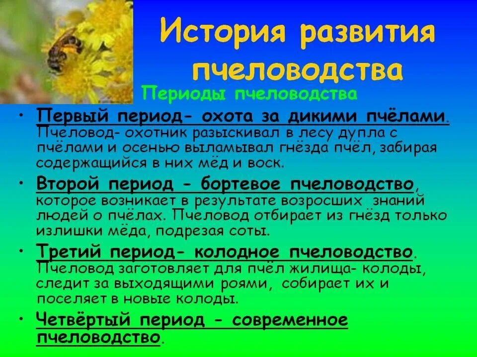 Какую работу выполняет пчеловод. История развития пчеловодства. периоды развития пчеловодства. пчеловодство это кратко. рассказ о пчеловодстве.
