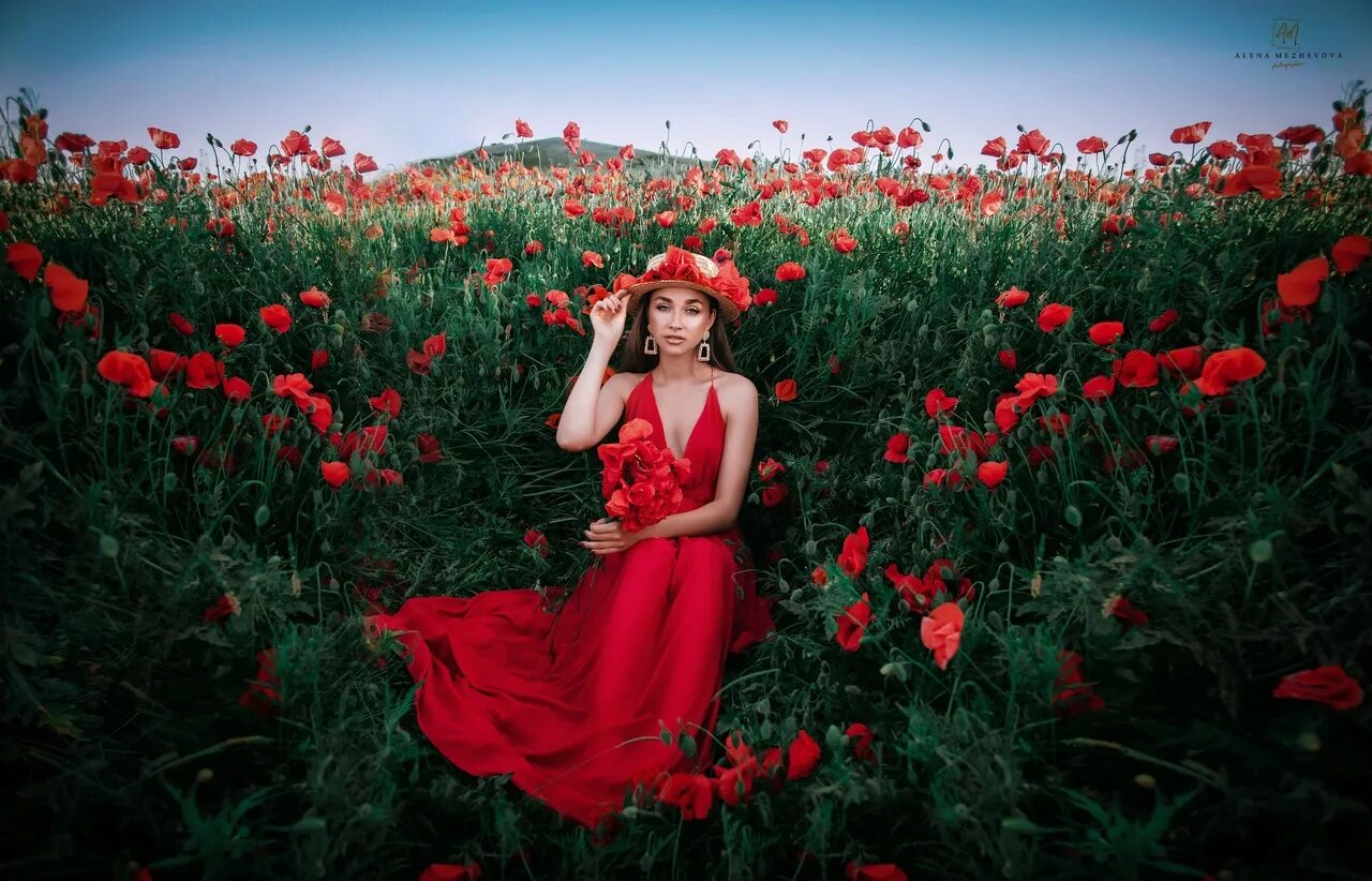 немерено элли на маковом поле. немерено элли на маковом поле. немерено лампабикт аккорды. немерено элли на маковом поле. лампабикт и элли на маковом поле.