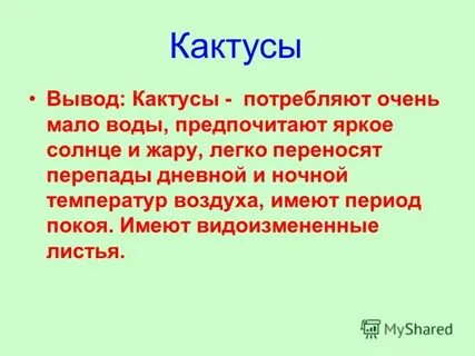 Вывод кактуса