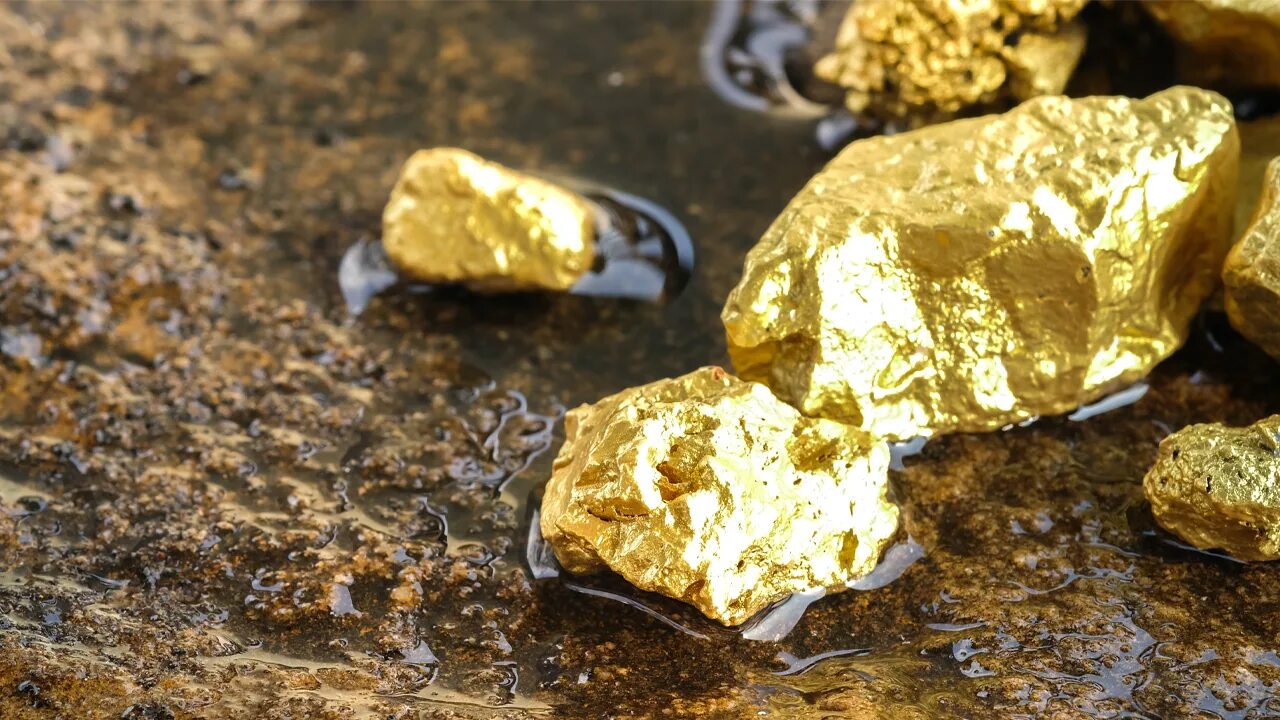Золотой прииск золото Сёмина. Месторождение золота. Россыпные месторождения золота. Золото в природе.