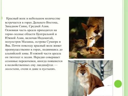 Животные занесенные в красную книгу дальнего востока