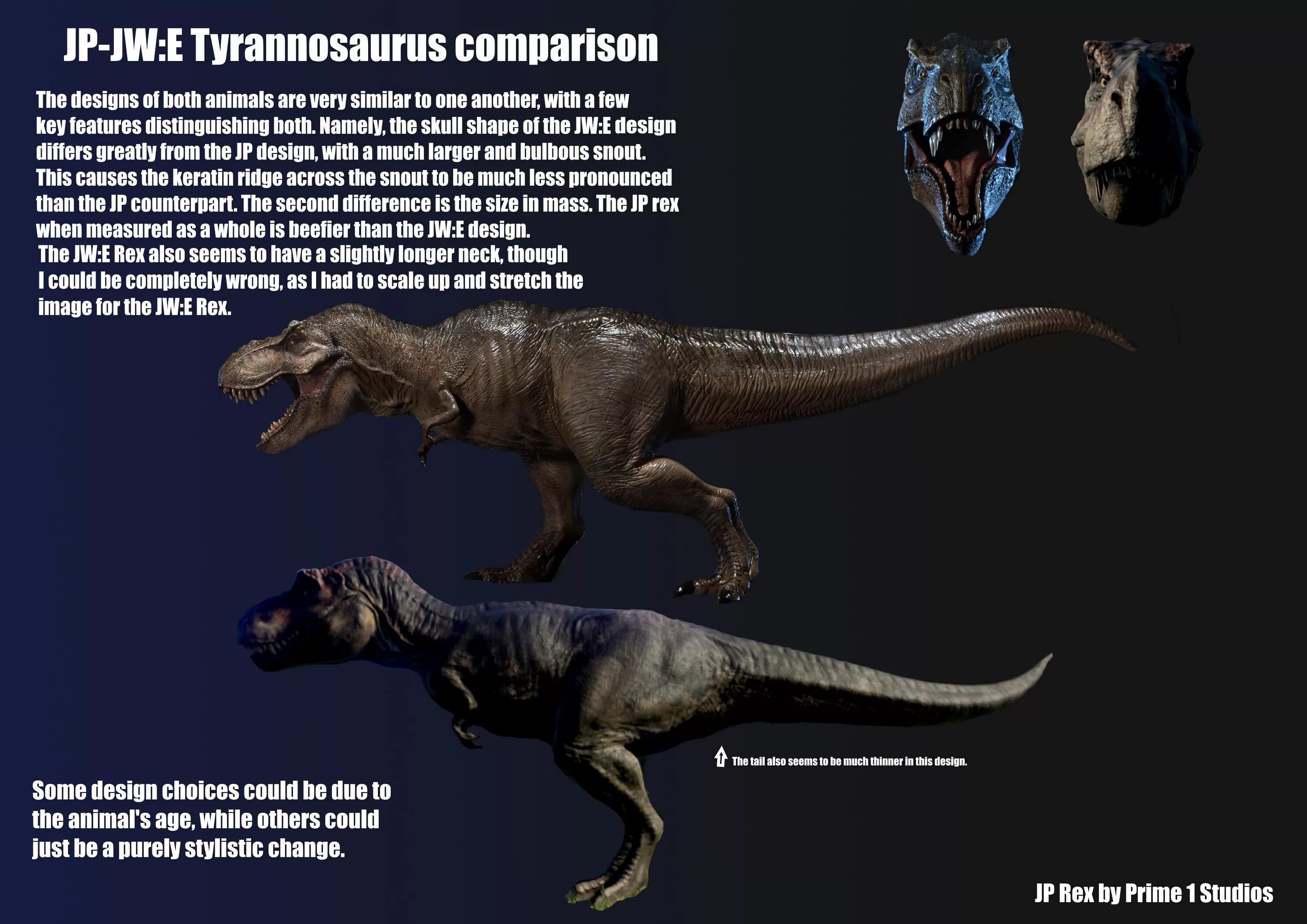 Тиранозавр размер. T rex size comparison. тираннозавр размеры. каких размеров был тираннозавр. тираннозавр рекс размеры.