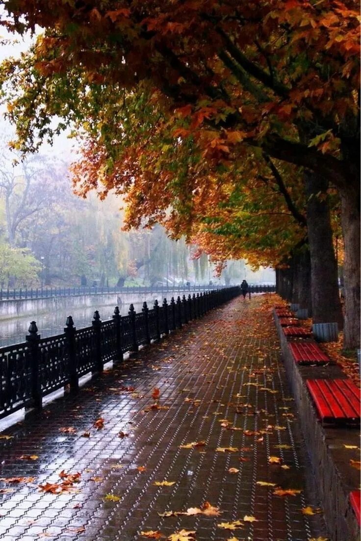 It often rains in autumn