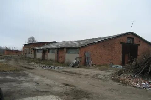 Погода куркино тульская область на 3 дня