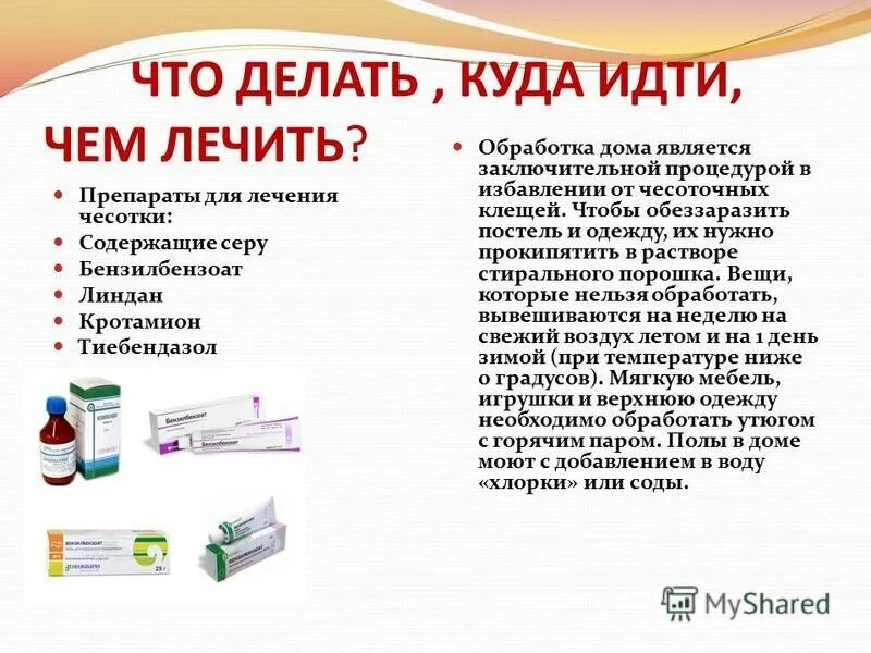 чесотка клинические проявления. чесоточный зудень пути заражения. чесоточный клещ чем обрабатывать. ход клеща прокладывает чесоточный. памятка педикулез и чесотка.