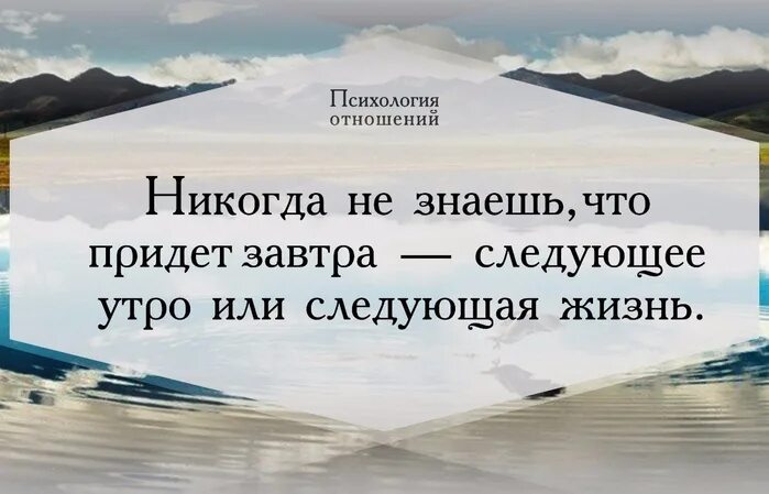 Кем станешь в следующей жизни. Следующее утро или следующая жизнь. Что придет завтра-следующее утро или следующая жизнь. В следующей жизни. Никогда не знаешь что будет завтра.