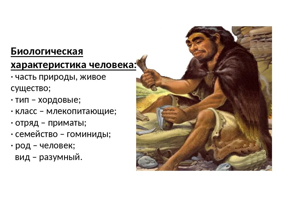 Пример положительной характеристики на сотрудника с места работы. Образцы характеристики на работника с места работы образец. Человек работающий характеристика. Архантропы строение. Человек работающий характеристика.