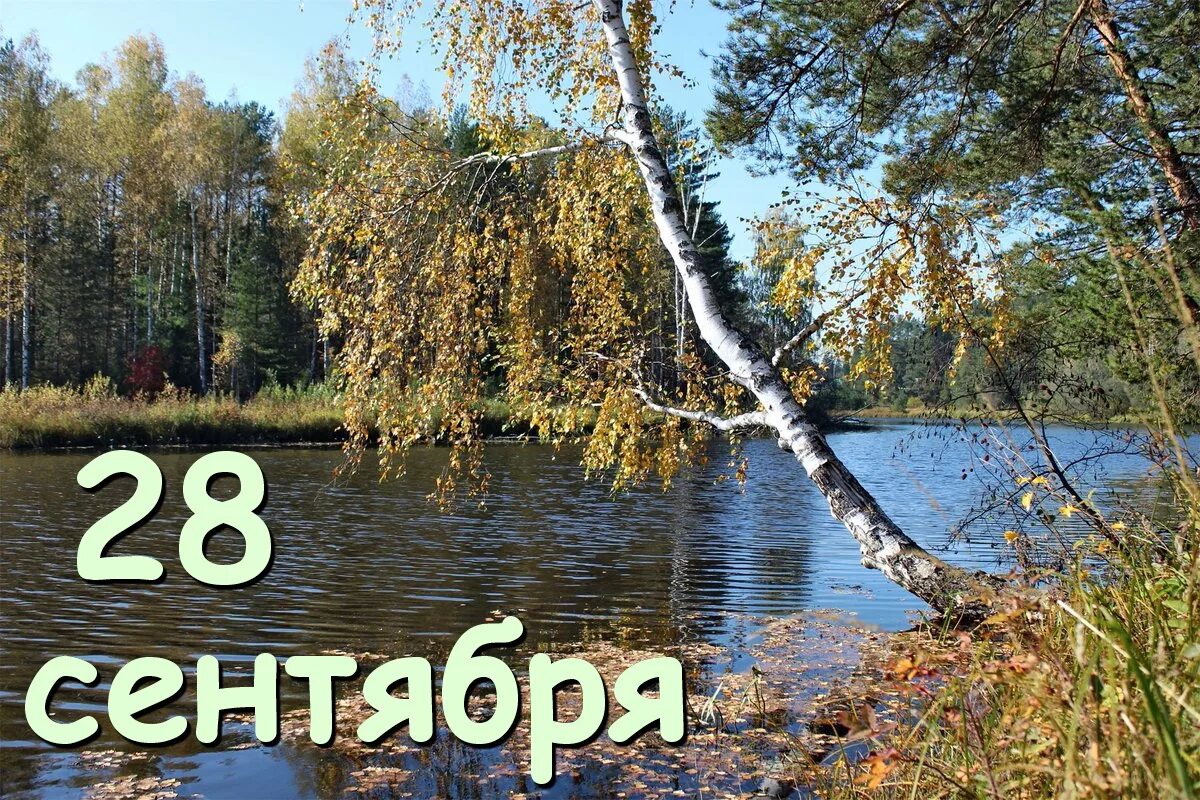 28 Сентября. 28 Сентября календарь. 28 Сентября день. 28 Сентября календарь истории. 5 сентября календарь