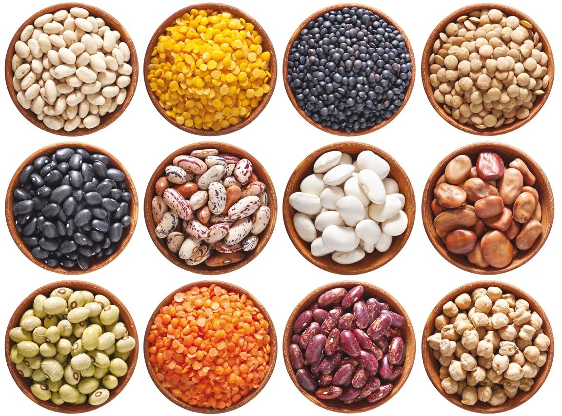 Бобовые крупы. Семена бобовых. Бобовые. Бобовые крупы. Бобовые.