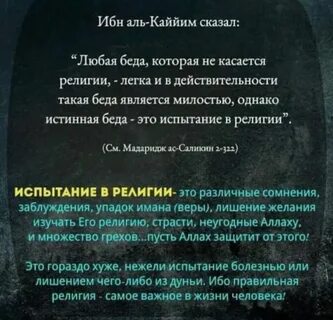 Сказал ибн