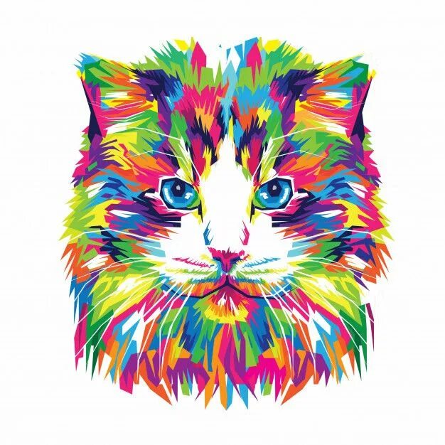 She cat colours