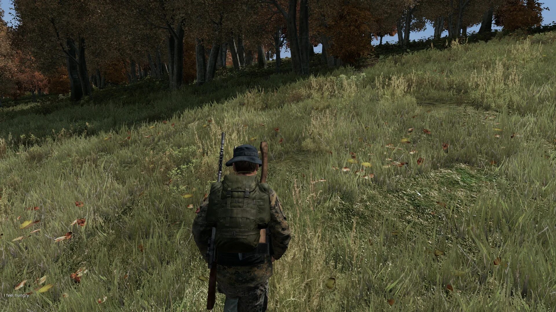 Как играть в dayz