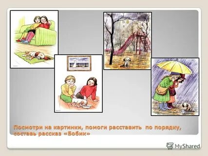 Картинки купили щенка
