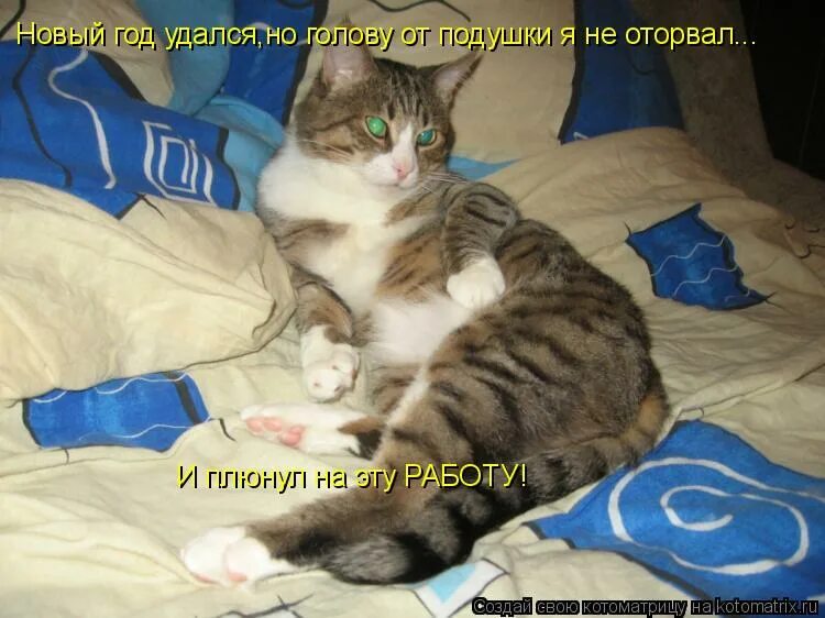 Новый год удался. День рождения удался на славу. А год то удался. Ура новый год. А год то удался.
