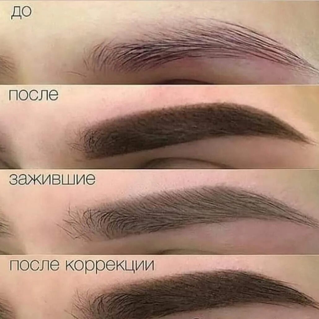 процесс заживления бровей после перманентного. перманент бровей этапы заживления. стадии перманентного макияжа. стадии перманентного макияжа. перманентный макияж бровей фазы заживления.