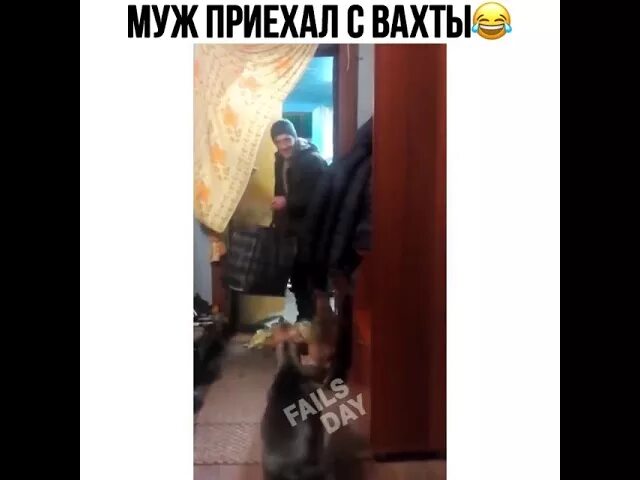 Муж приехал с вахты. Муж приехал с вахты прикол. Муж возвращается с вахты. Муж приехал домой с вахты. Муж вернулся домой пораньше