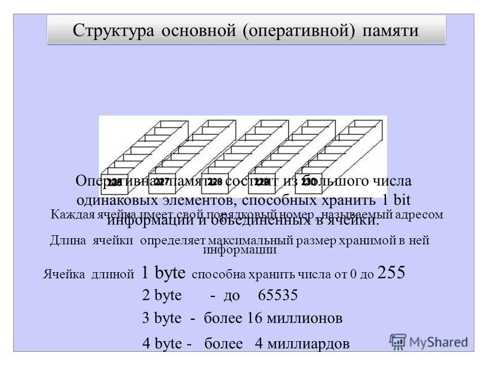 Максимальный размер клетки