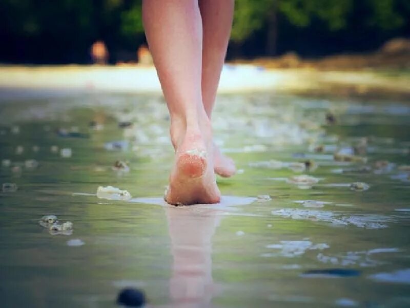 Дерево ногами в воде. Девушка босиком. Босые ноги в воде. Лето босиком. Босиком по камням.