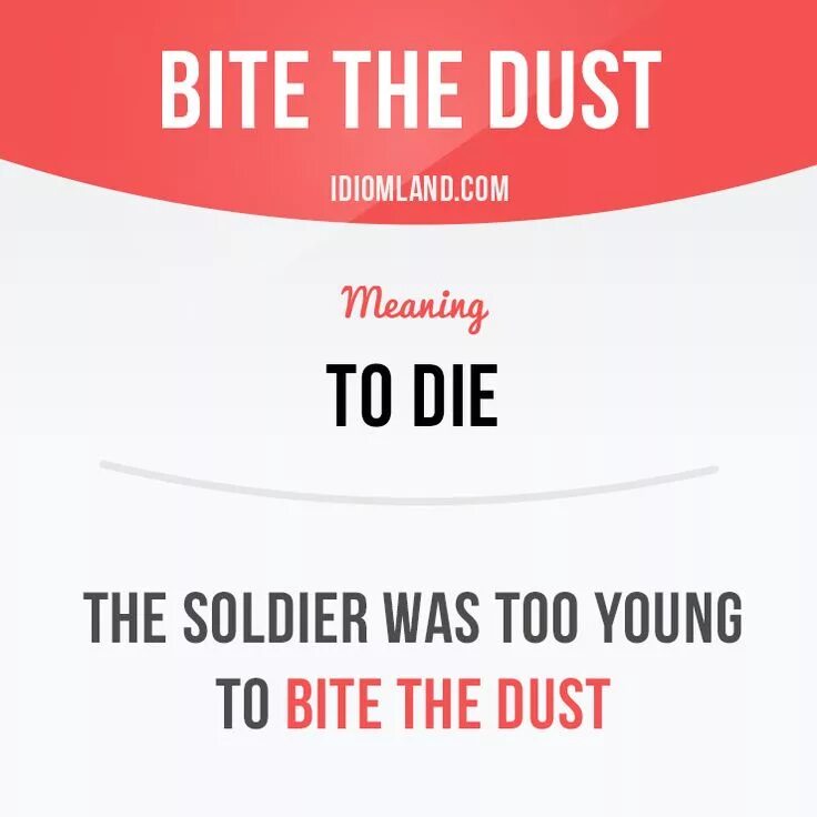 Идиома bite. To bite the Dust. Bite the Dust idiom. Idioms with Word Dust. Картинки idiom bite the Bullet.