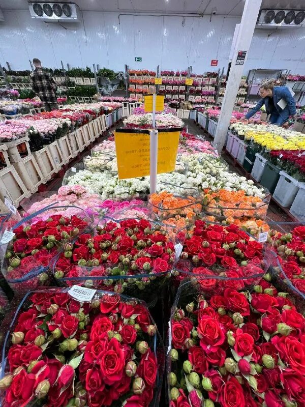 Цветочная база black bakkara. Блэк баккара цветы оптом. Блэк баккара цветы оптом. Блэк баккара цветы оптом. Блэк баккара магазин рижская.