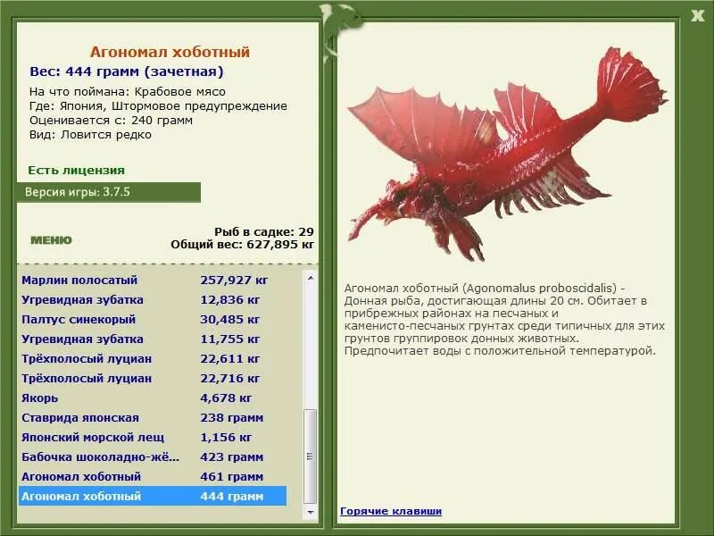 год свиньи характеристика. кабан гороскоп. рыба кабан. рыба кабан. морской кабан рыба.