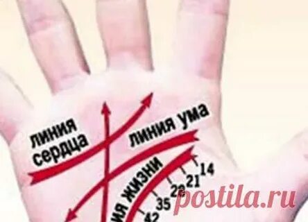 Гадание цыганки по руке