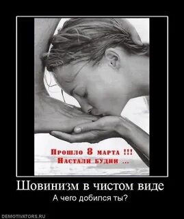 Мужской шовинизм