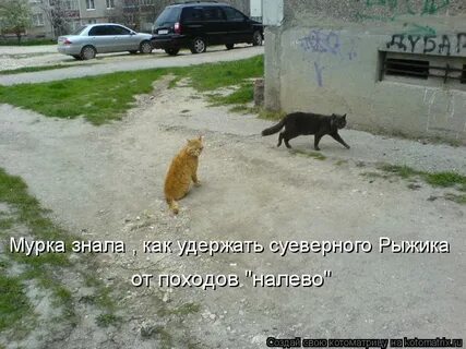 Тьфу извините