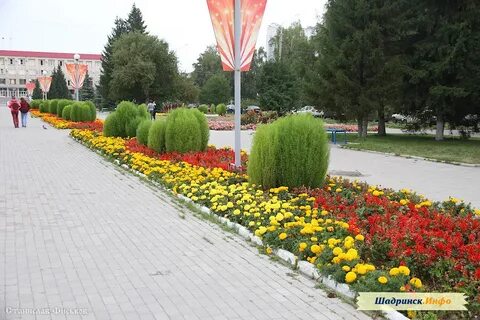Цветы шадринск
