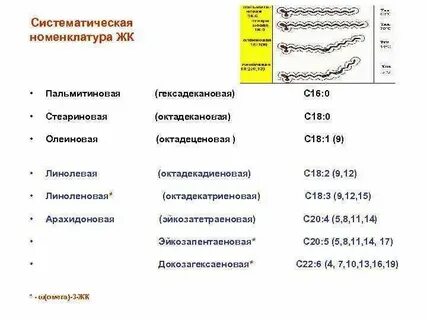 Представление о классификации и систематическая номенклатура