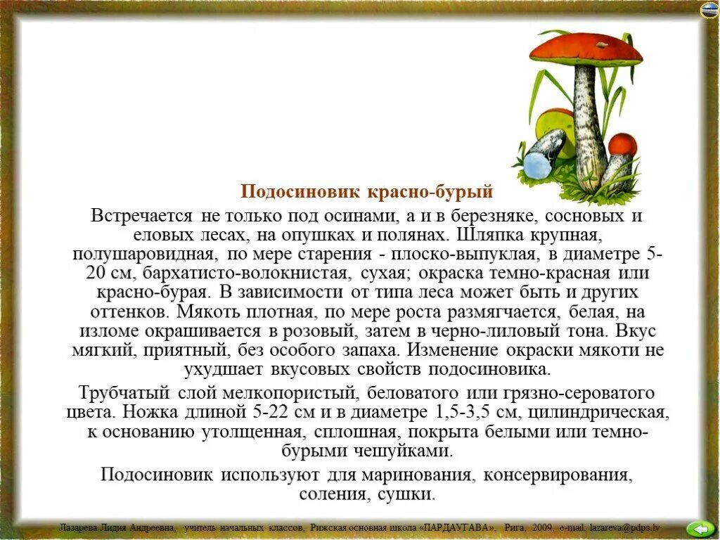 Загадка про гриб подосиновик. Рассказ про гриб подосиновик. Презентация про гриб подосиновик. Рассказ про подосиновик. Рассказ о грибе подосиновик 3 класс.