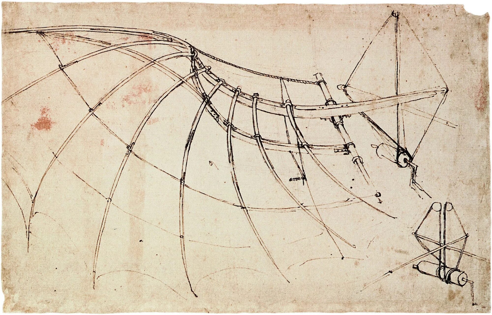 Крылья изобретателя. Xix отто лилиенталь создал летательный аппарат. Полеты отто лилиенталя. Крылья леонардо да винчи чертежи. Отто лилиенталь (1848 - 1896).