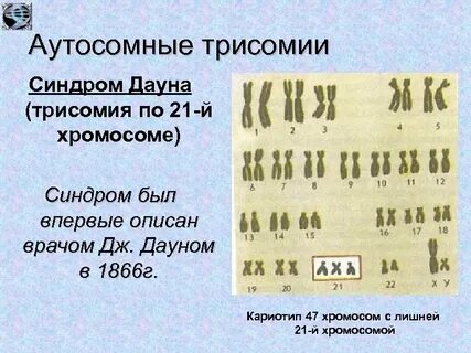 Кариотип отзывы