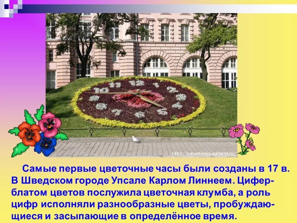 Для чего были созданы цветы. Для чего были созданы цветы. Цветочные часы биология 5 класс проект карл линней. Для чего были созданы цветы. Для чего были созданы цветы.