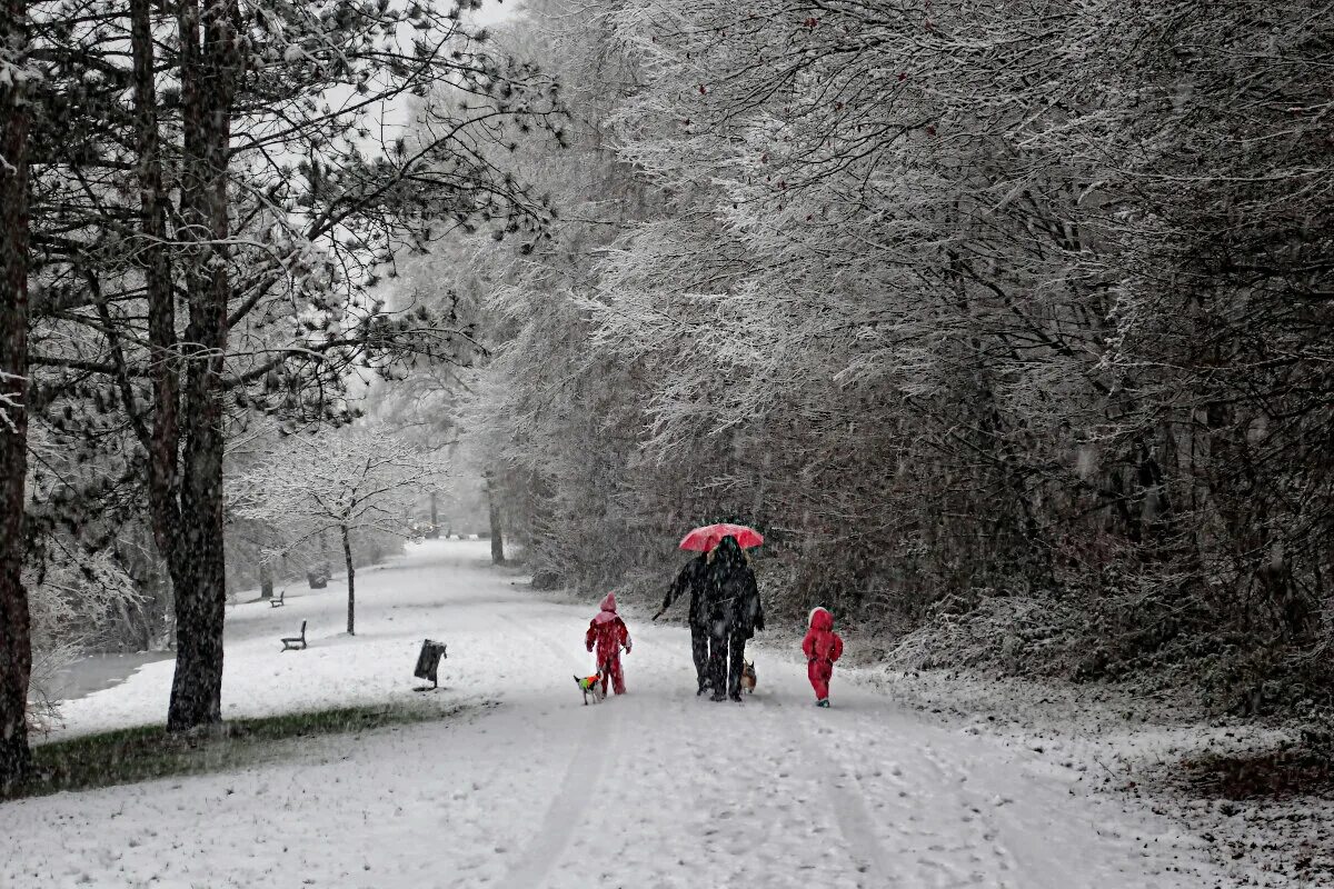 Метель любовь. Зима уходит. Зима снег. Мимо зимы. Замело снегом.