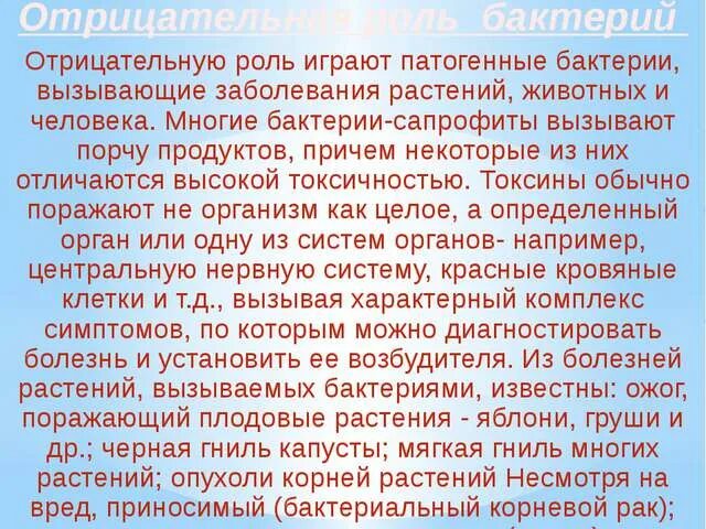 Проект роль бактерий в жизни человека Отразите информацию о роли бактерий в жизни человека в схеме
