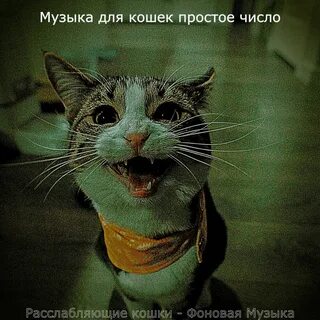 Музыка для кошек