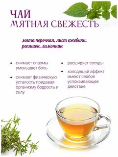 Чем полезен чабрец для организма в чае