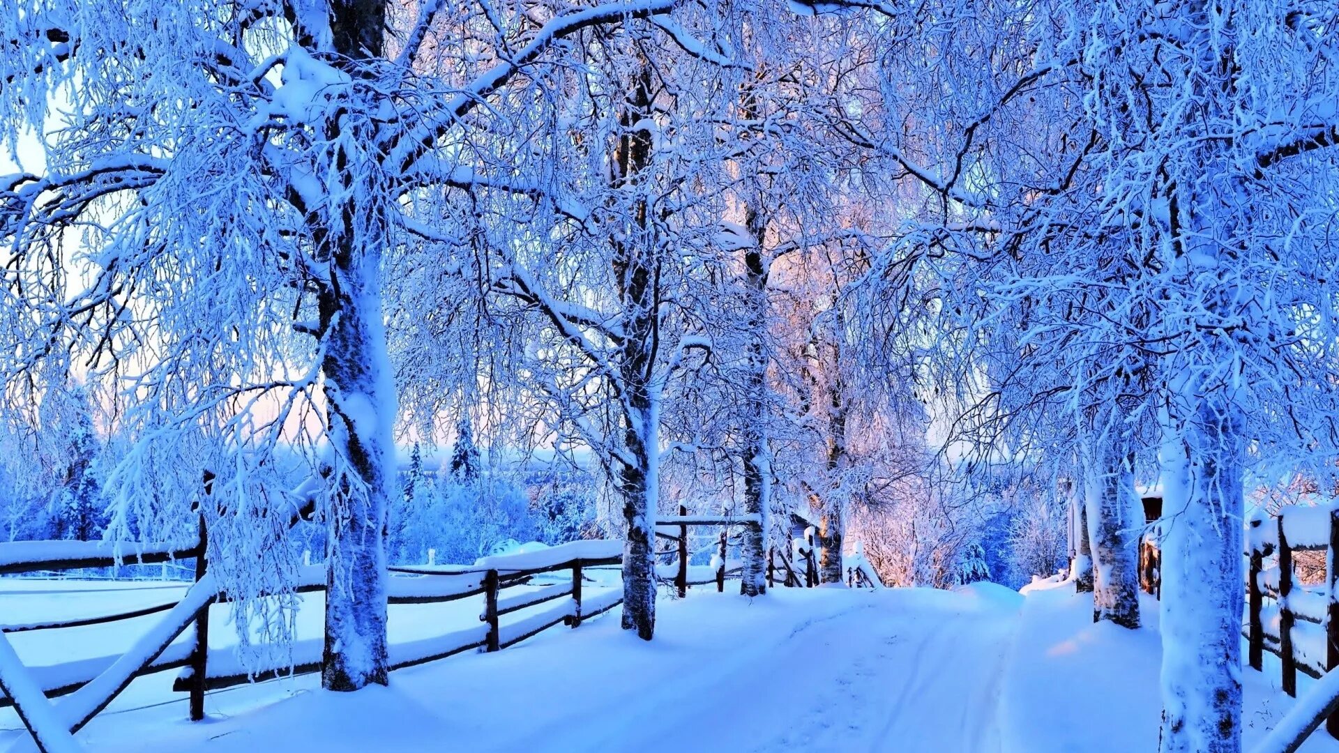 Зимние картинки. Красивая зима. Зима снег. Зимняя заставка на рабочий стол. Зимний пейзаж.