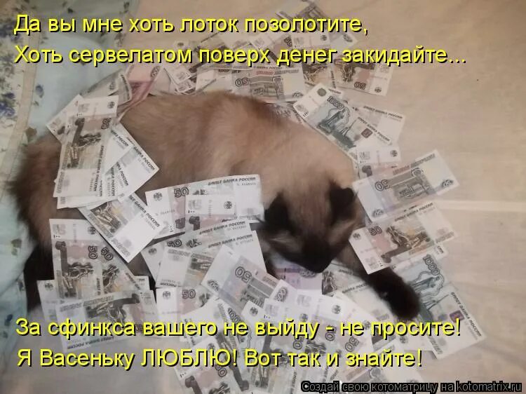 Заплати зарплату и спи спокойно. Я очень устала. Как я устала. Боже как я устал. Боже как я устала картинки.