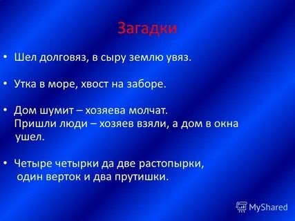 В море хвост на заборе ответ