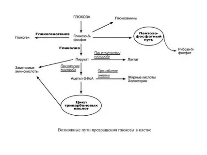 Поступление сахара