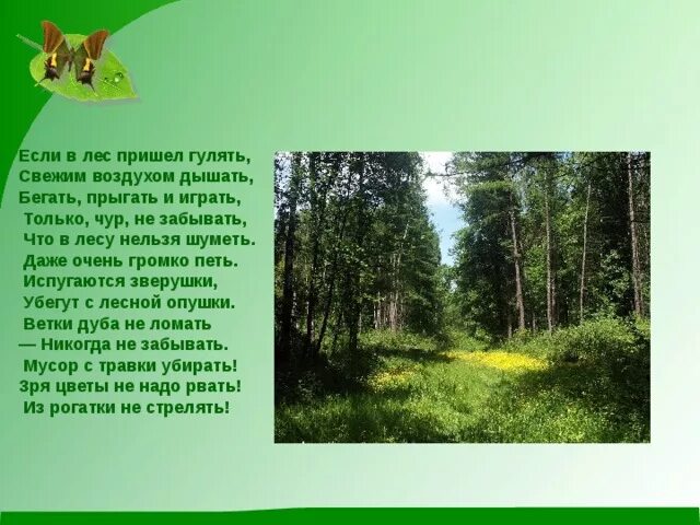 Если в лес пришел гулять свежим воздухом дышать стих. Если в лес пришел гулять свежим воздухом дышать. Если в лес пришёл гулять свежим воздухом дышать Автор. Стихотворение хорошо в лесу гулять свежим воздухом дышать.