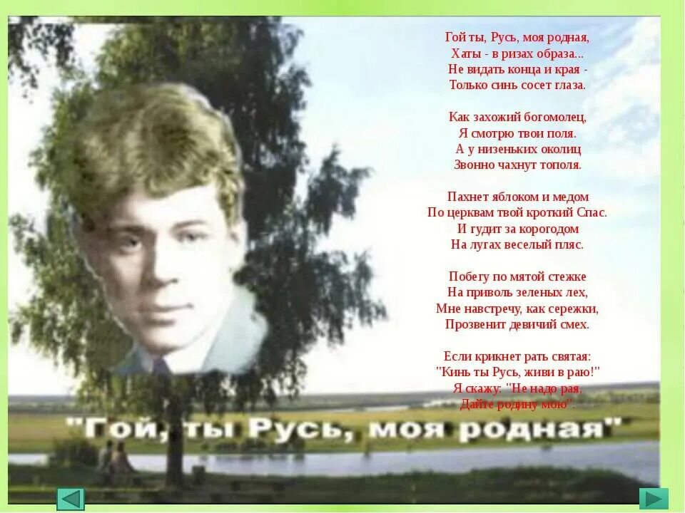 Стих гой ты слушать. Русь родная Есенин. Гой Русь моя родная Есенин.