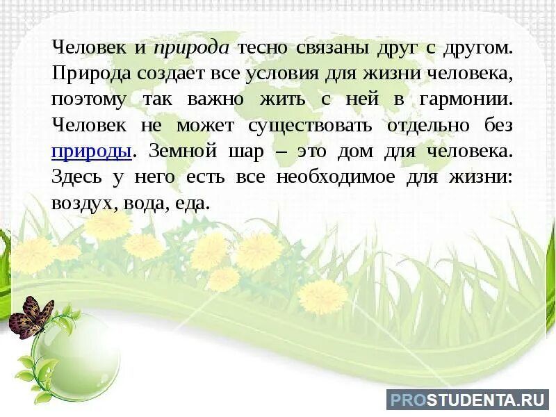 Эссе о природе. Эссе человек и природа. Природа в жизни человека сочинение. Человек часть природы эссе.