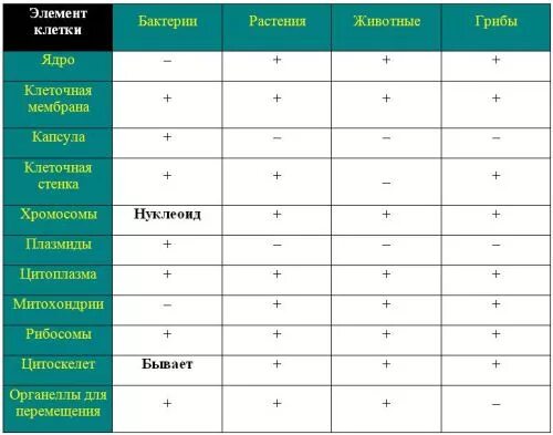 Сравнение клетки грибов растений животных. Клетки растений животных грибов и бактерий таблица. Строение клеток растений животных грибов и бактерий таблица. Сравнение клеток бактерий растений и животных таблица. Строение растительной животной грибной бактериальной клетки таблица.